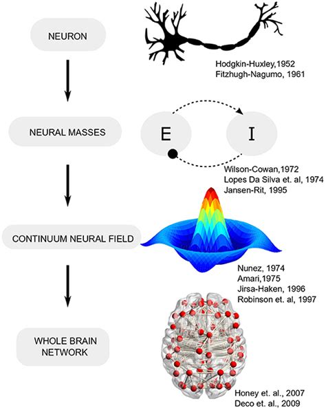 neural networks are inspired by the human brain